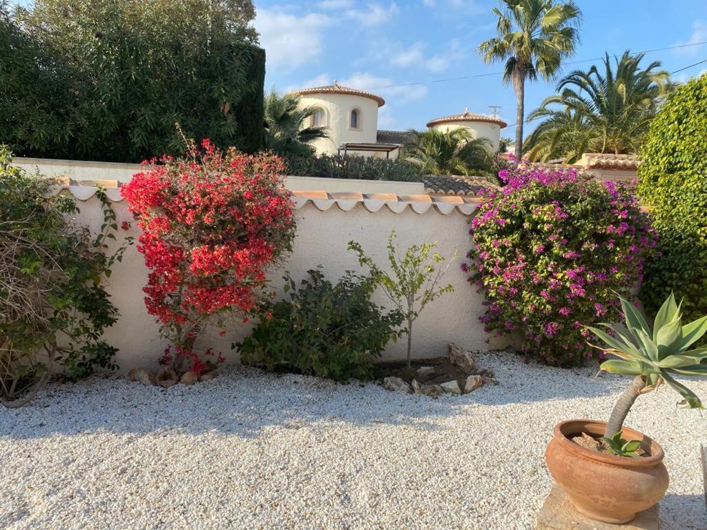 The Best Holiday Villa Calpe Exterior foto